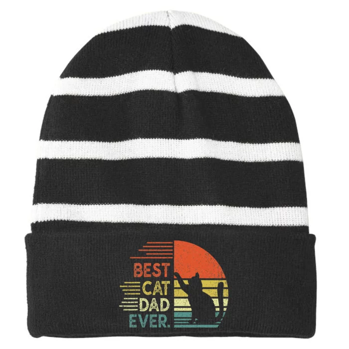 Cat Dad Cat Daddy Best Cat Dad Ever Striped Beanie with Solid Band