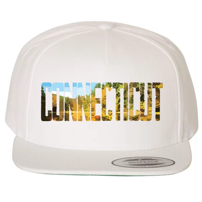 Cool Design Connecticut T Wool Snapback Cap