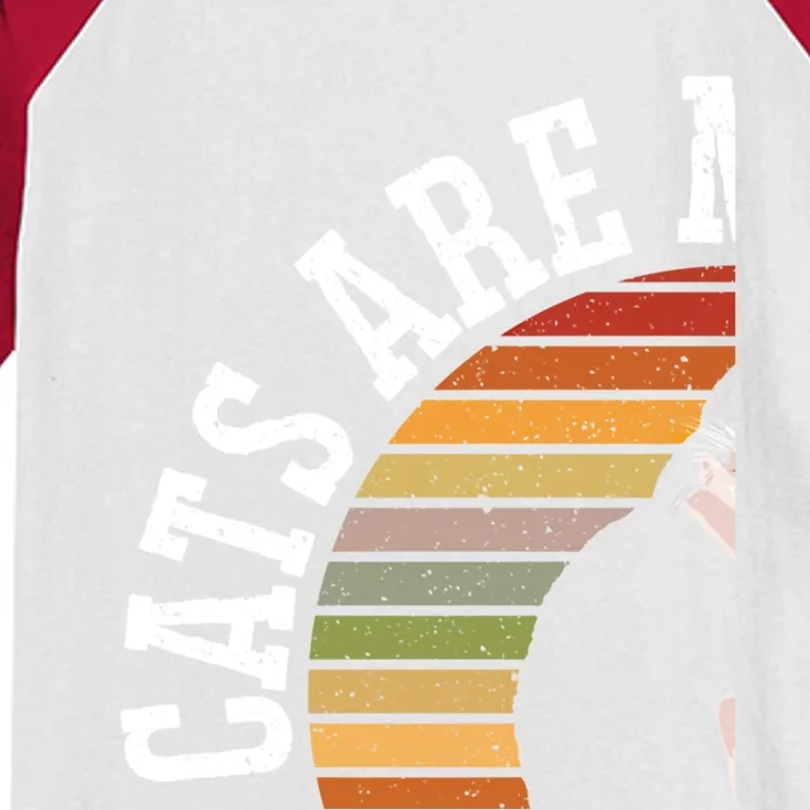 Cat Daddy Catfather Distressed Gift Kids Colorblock Raglan Jersey