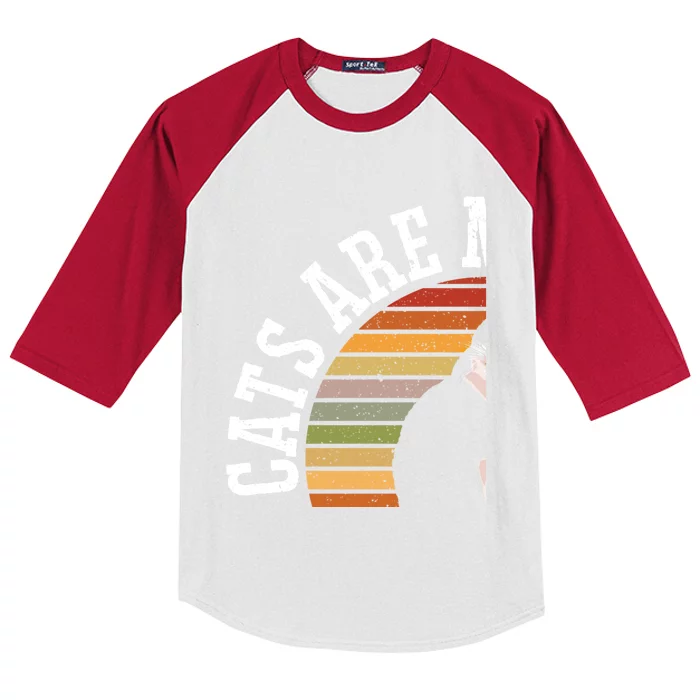 Cat Daddy Catfather Distressed Gift Kids Colorblock Raglan Jersey