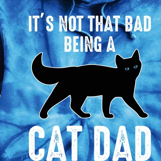 Cat Dad Cat Daddy Its Not That Bad Being A Cat Dad Funny Gift Tie Dye Hoodie