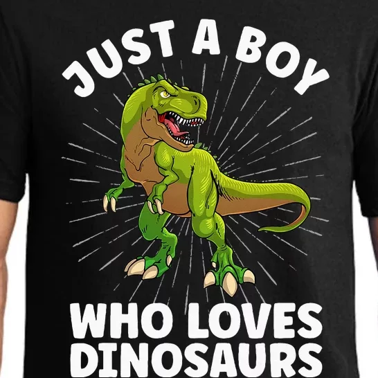 Cool Dinosaur Design For Men Dino Animal Dinosaur Lover Pajama Set