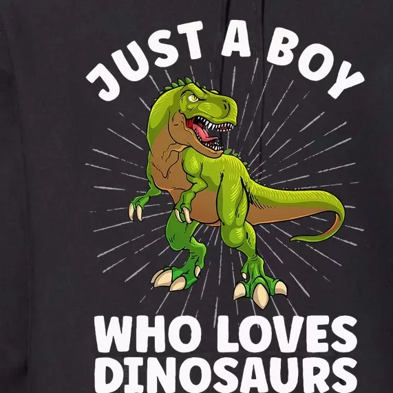 Cool Dinosaur Design For Men Dino Animal Dinosaur Lover Premium Hoodie