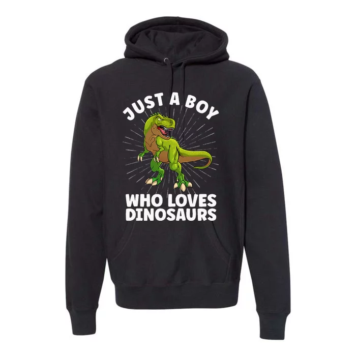 Cool Dinosaur Design For Men Dino Animal Dinosaur Lover Premium Hoodie