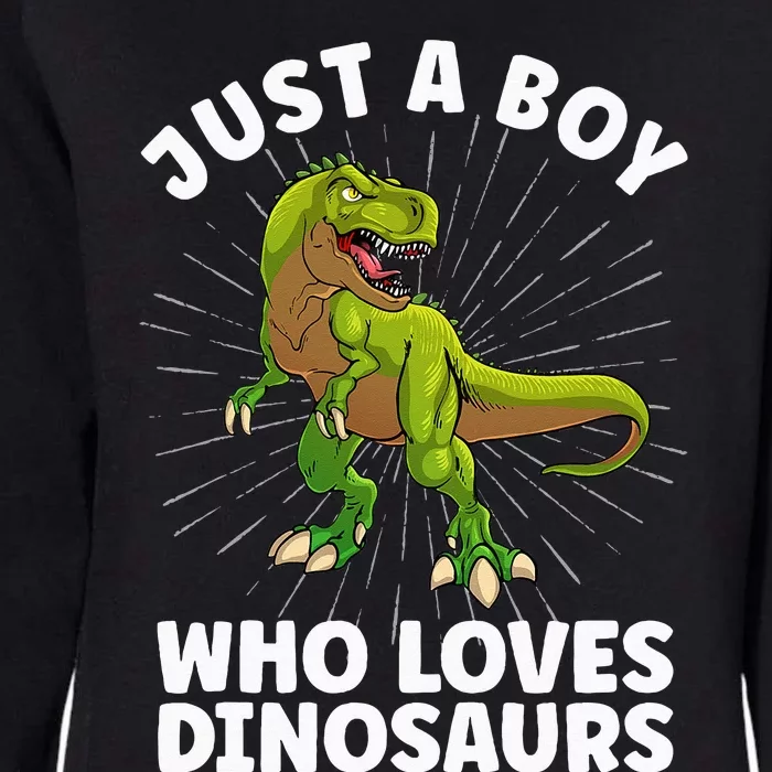 Cool Dinosaur Design For Men Dino Animal Dinosaur Lover Womens California Wash Sweatshirt