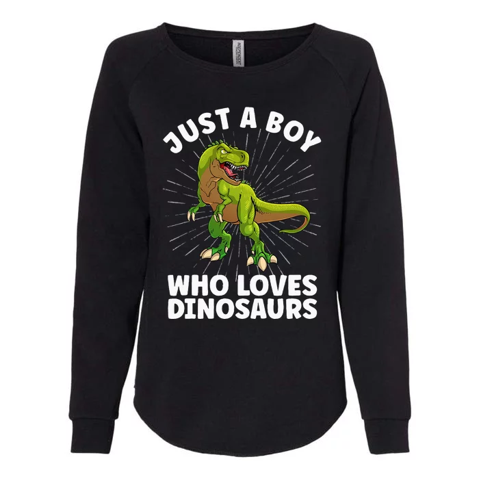 Cool Dinosaur Design For Men Dino Animal Dinosaur Lover Womens California Wash Sweatshirt