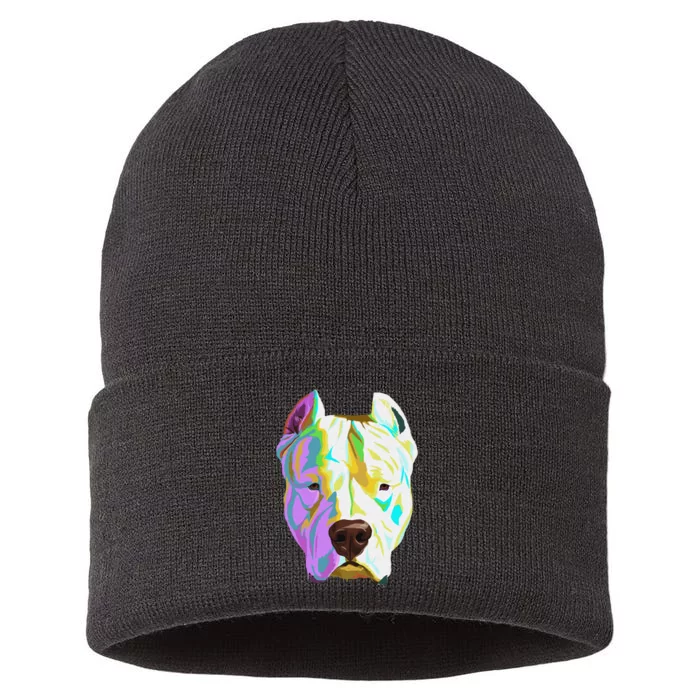 Colourful Dog Dogo Argentino Pullover Hoodie Sustainable Knit Beanie