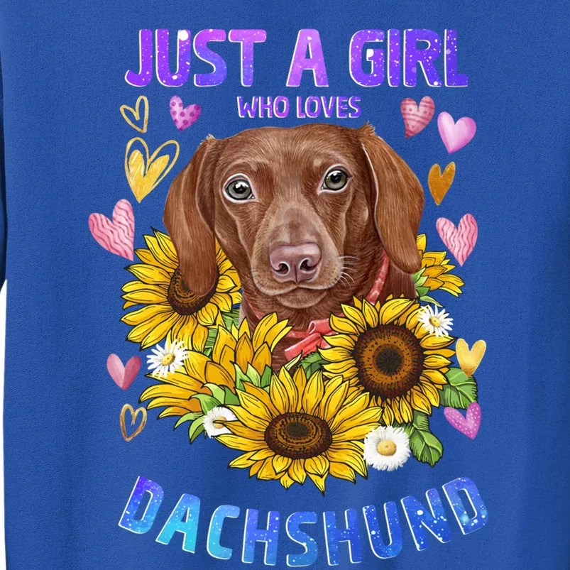 Cute Dachshund Dog Loving Puppy Lover Gift Tall Sweatshirt