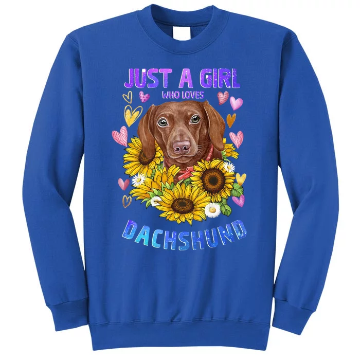 Cute Dachshund Dog Loving Puppy Lover Gift Tall Sweatshirt