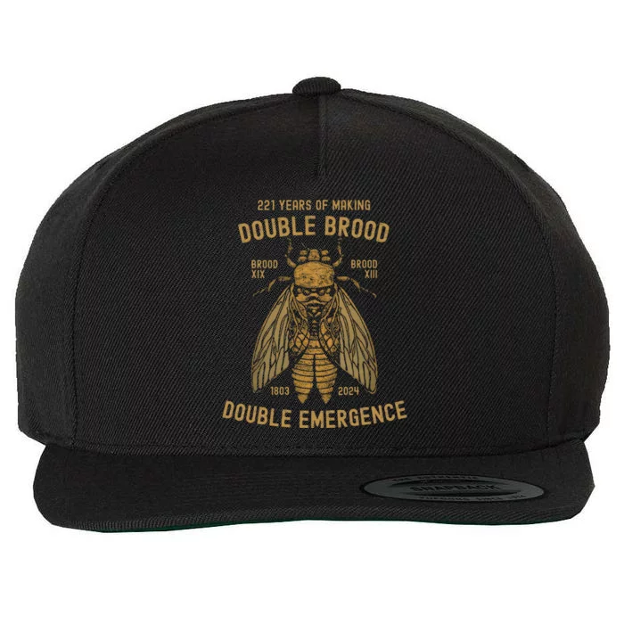 Cicada Double Emergence 2024 Brood Xiii Xix Locust Wool Snapback Cap