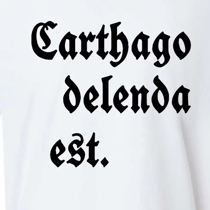 Carthago Delenda Est Sueded Cloud Jersey T-Shirt