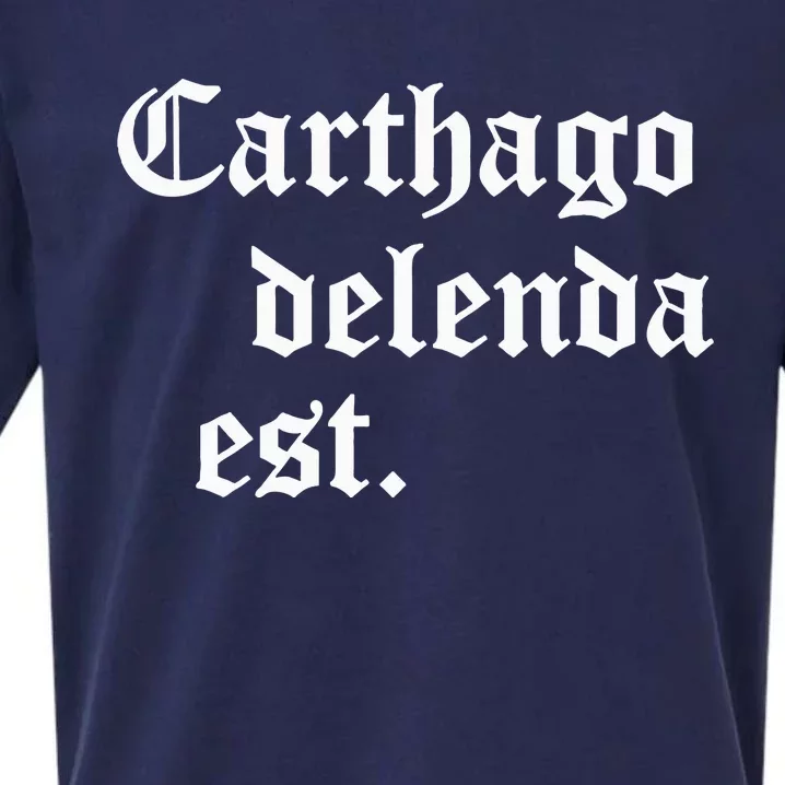 Carthago Delenda Est Latin Phrase Cato Speech Carthage Quote Sueded Cloud Jersey T-Shirt