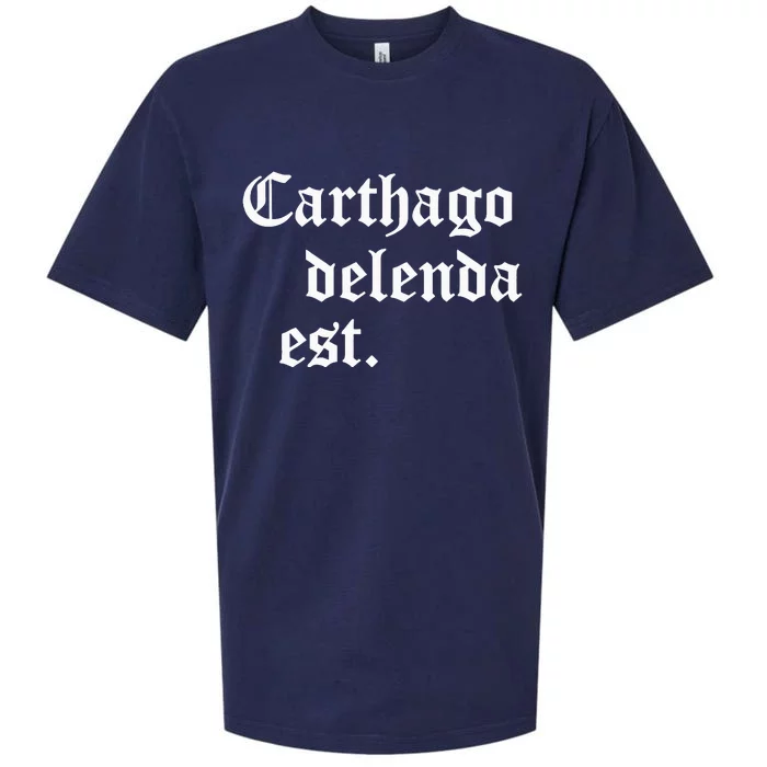 Carthago Delenda Est Latin Phrase Cato Speech Carthage Quote Sueded Cloud Jersey T-Shirt