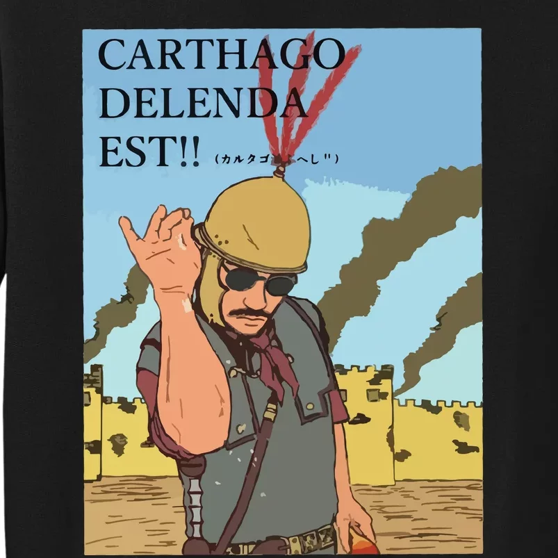 Carthago Delenda Est Funny Meme Sweatshirt