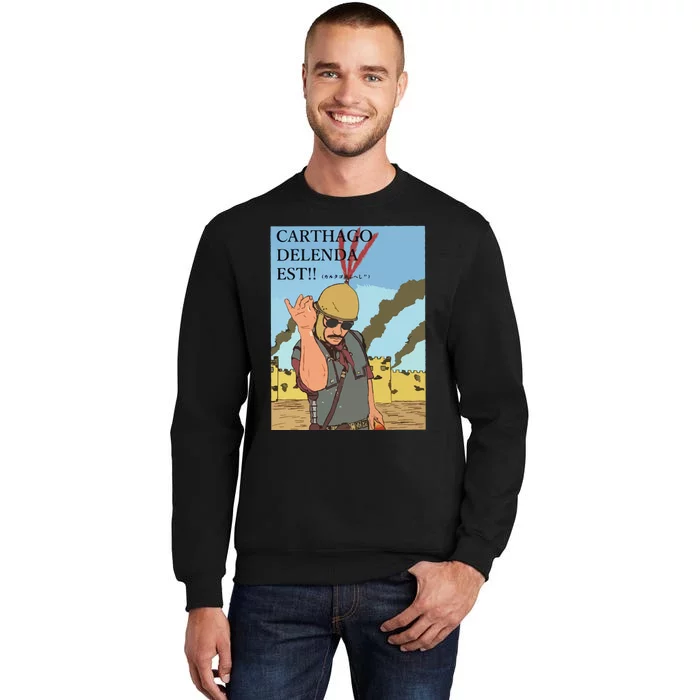 Carthago Delenda Est Funny Meme Tall Sweatshirt