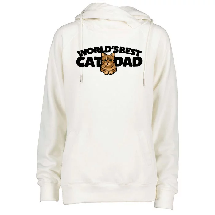 Cat Dad Funny Cat Person Humor Gift Womens Funnel Neck Pullover Hood