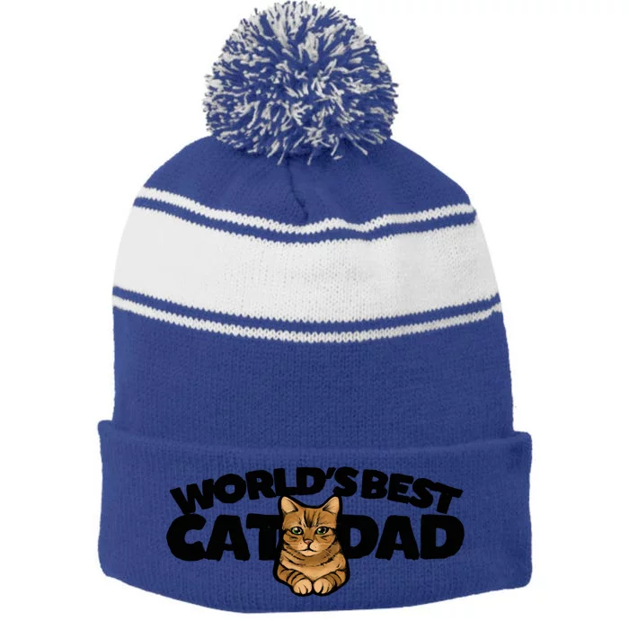 Cat Dad Funny Cat Person Humor Gift Stripe Pom Pom Beanie