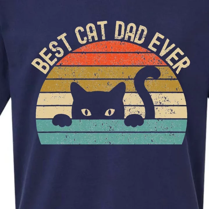 Cat Dad for Fur Daddies Funny Sueded Cloud Jersey T-Shirt