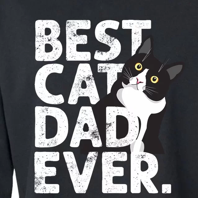 Cat Daddy Father Gift Best Cat Dad Ever Cropped Pullover Crew