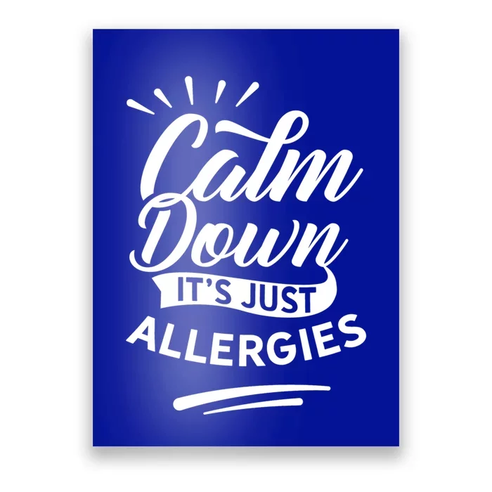 Calm Down It's Just Allergies Have Allergy Sarcastic Humor Great Gift Poster