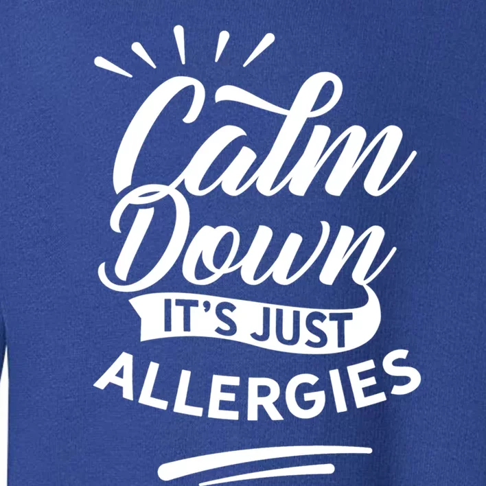 Calm Down It's Just Allergies Have Allergy Sarcastic Humor Cute Gift Toddler Sweatshirt