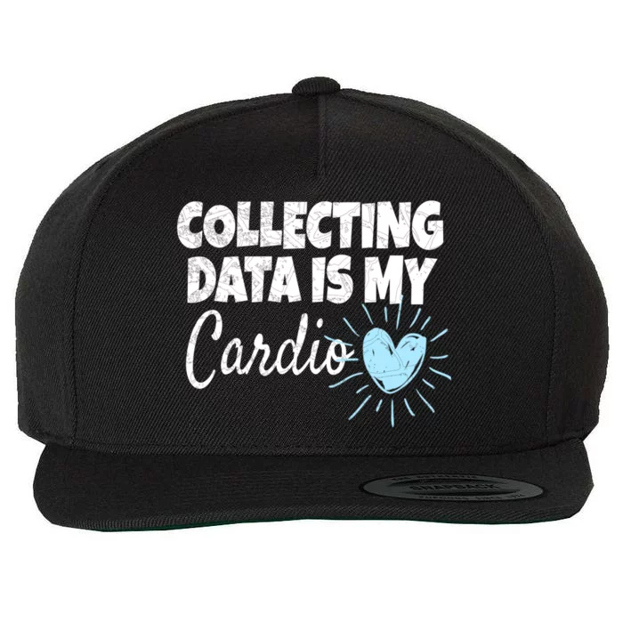 Collecting Data Is My Cardio Gift Behavior Analyst Great Gift Wool Snapback Cap