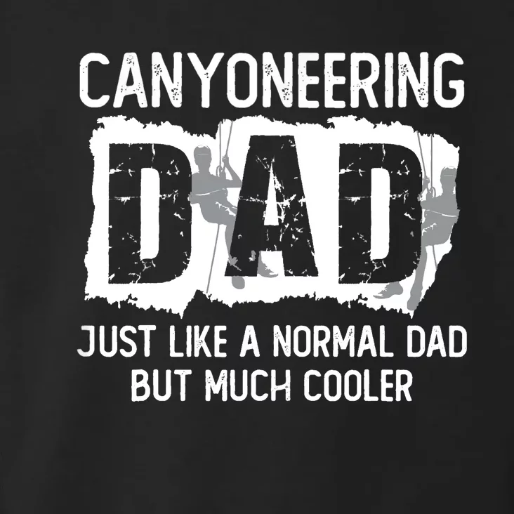 Canyoneering Dad Joke Father Daddy Canyon Climbing Canyoning Toddler Hoodie