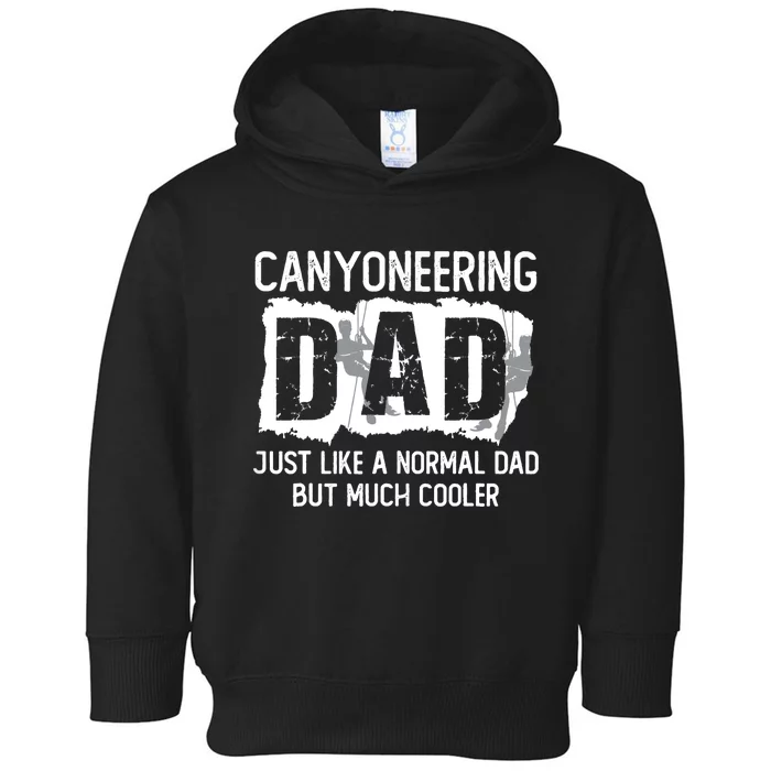 Canyoneering Dad Joke Father Daddy Canyon Climbing Canyoning Toddler Hoodie