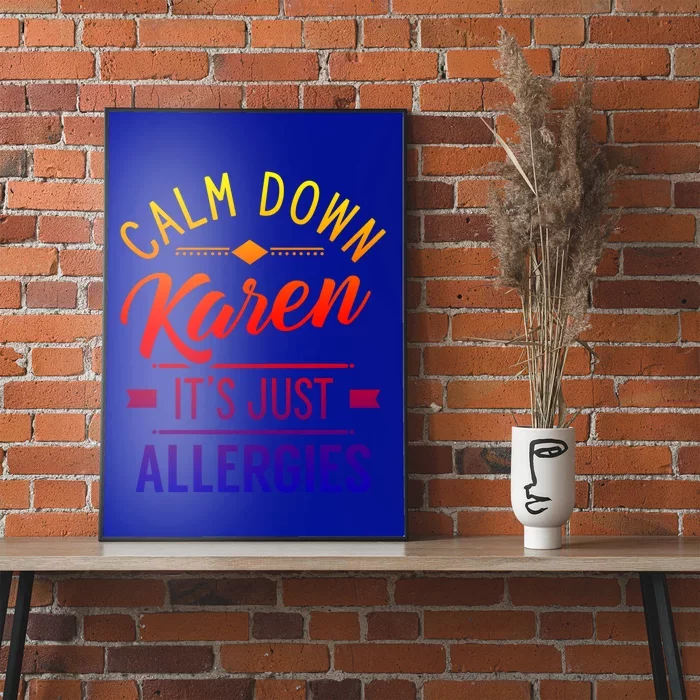 Calm Down Karen It's Just Allergies Allergy Sarcastic Humor Gift Poster