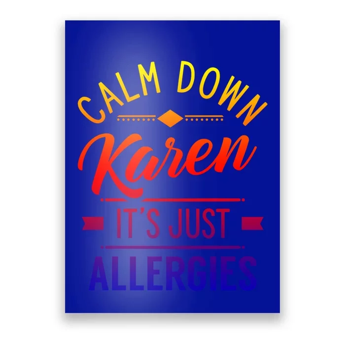 Calm Down Karen It's Just Allergies Allergy Sarcastic Humor Gift Poster