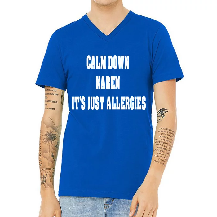 Calm Down Karen It's Just Allergies Humor Funny Cool Gift V-Neck T-Shirt