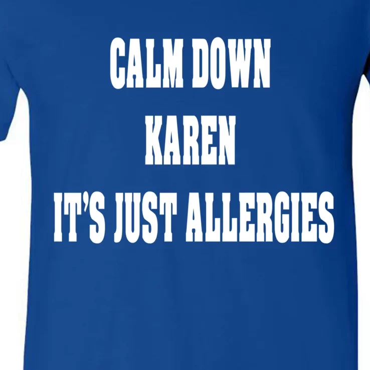 Calm Down Karen It's Just Allergies Humor Funny Cool Gift V-Neck T-Shirt