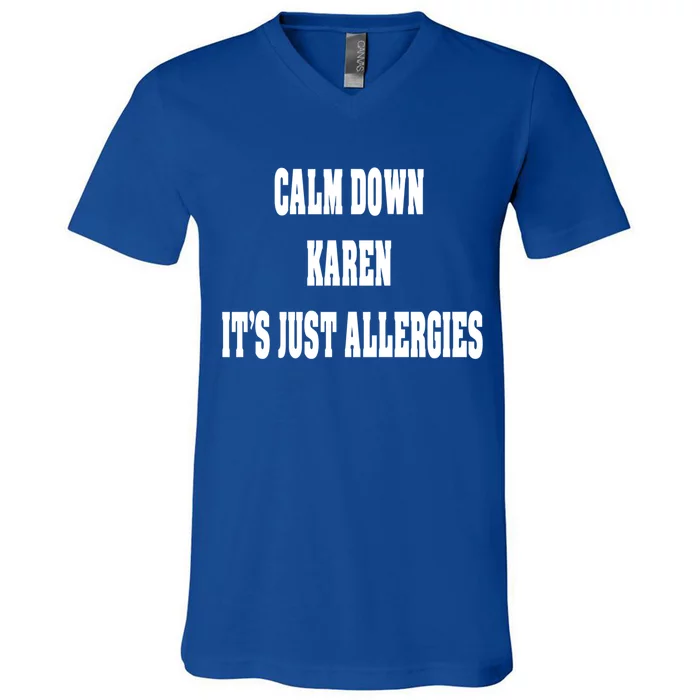 Calm Down Karen It's Just Allergies Humor Funny Cool Gift V-Neck T-Shirt