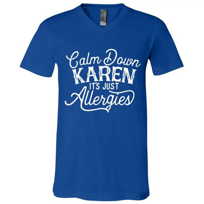 Calm Down Karen It's Just Allergies Funny Gift V-Neck T-Shirt