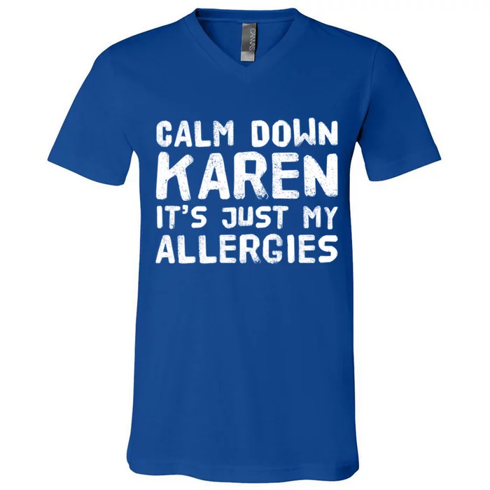 Calm Down Karen It's Just My Allergies Funny Karen Meme Cool Gift V-Neck T-Shirt