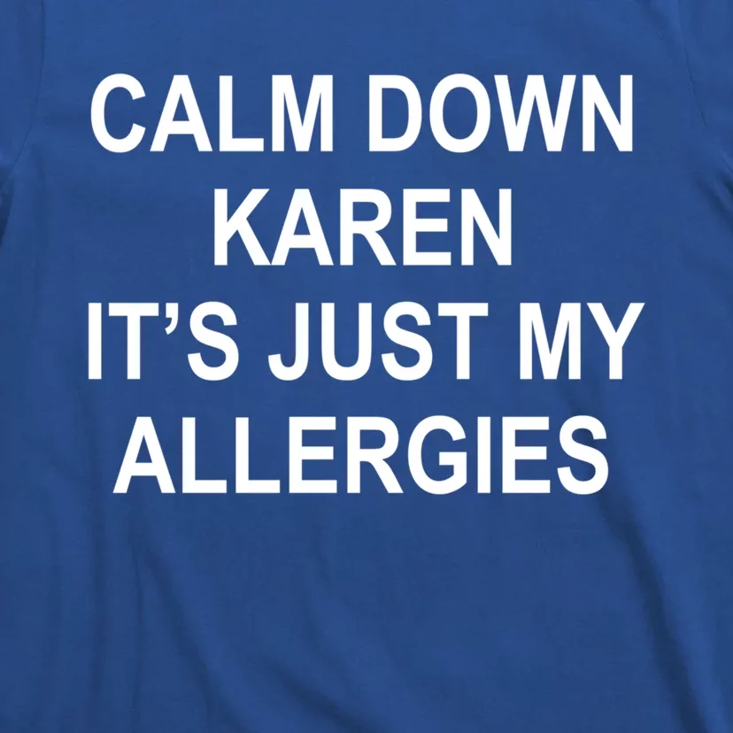 Calm Down Karen It's Just My Allergies Sarcasm Funny Meme Gift T-Shirt