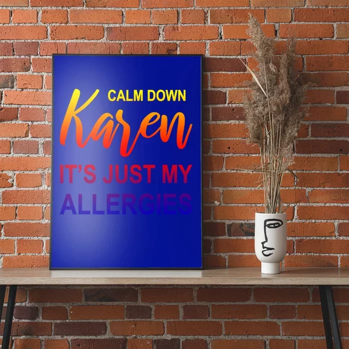 Calm Down Karen It's Just My Allergies Sarcasm Funny Meme Gift Poster