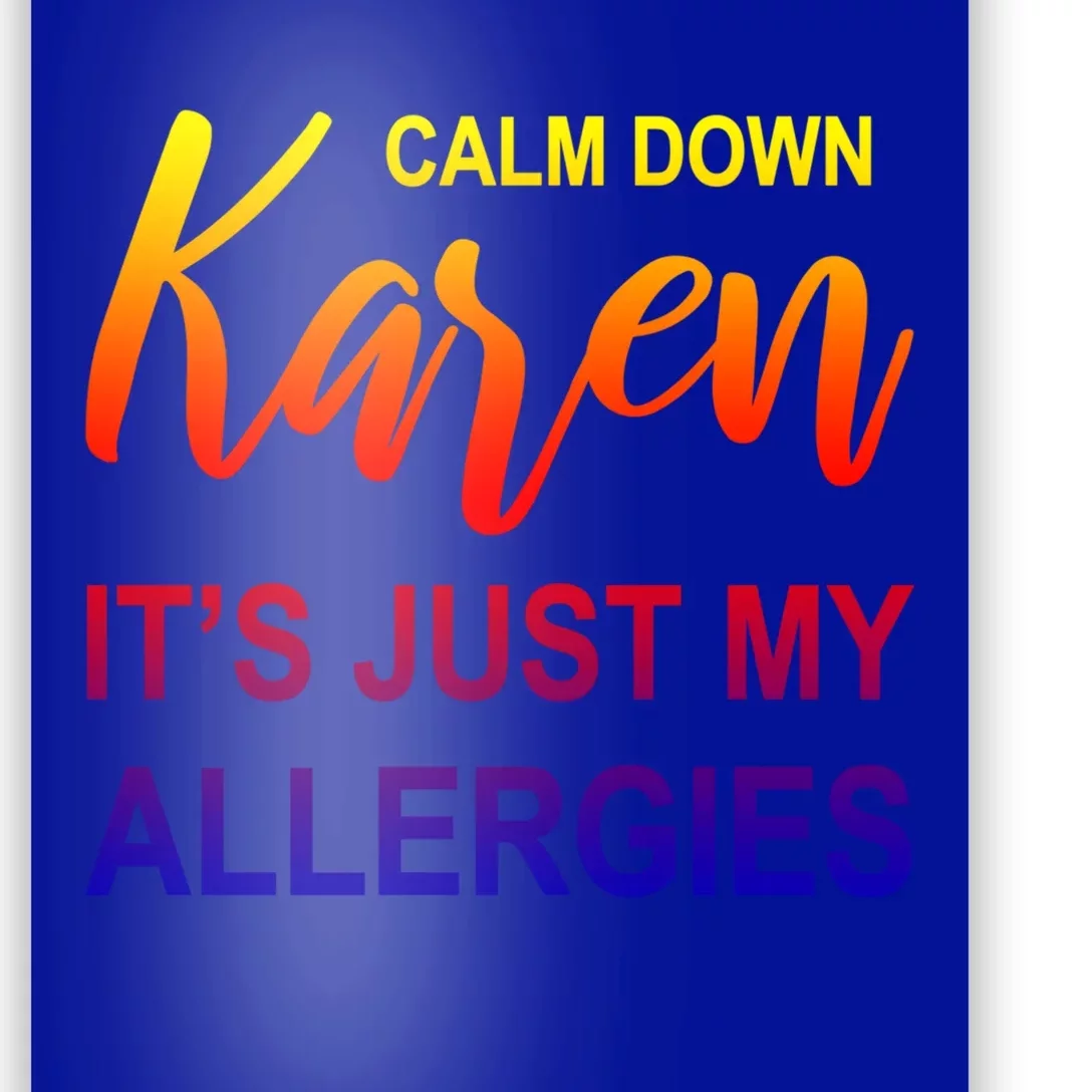 Calm Down Karen It's Just My Allergies Sarcasm Funny Meme Gift Poster