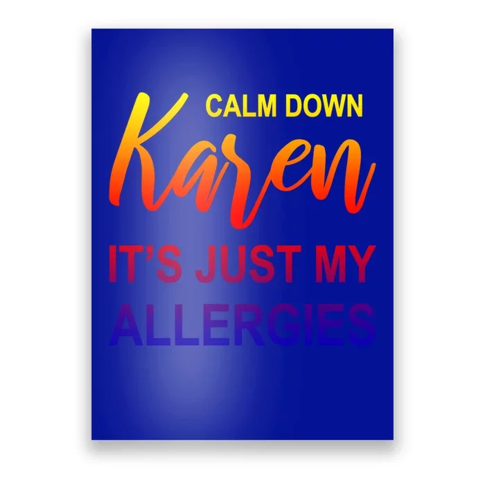 Calm Down Karen It's Just My Allergies Sarcasm Funny Meme Gift Poster