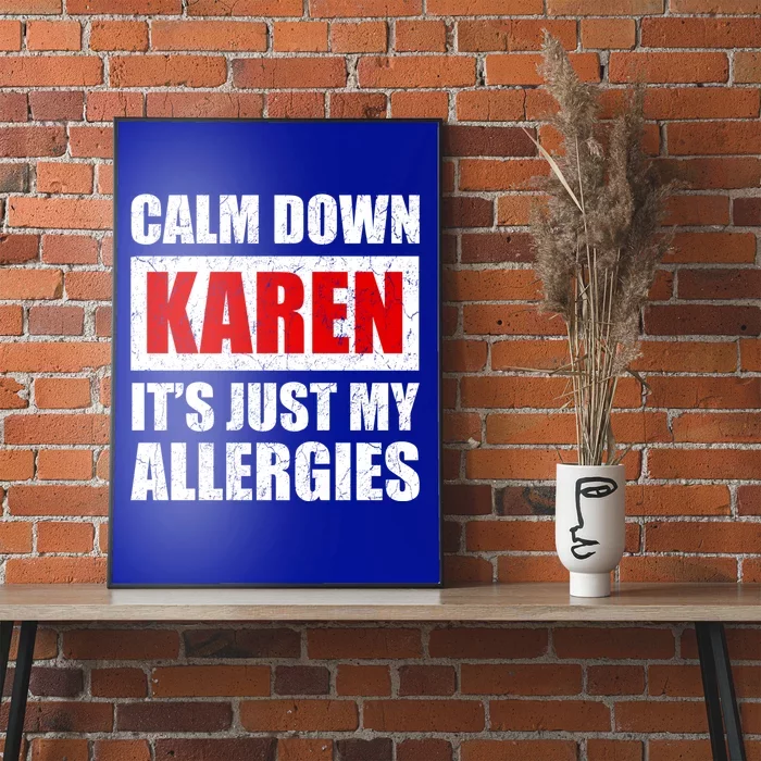 Calm Down Karen It's Just My Allergies Sarcasm Funny Meme Meaningful Gift Poster