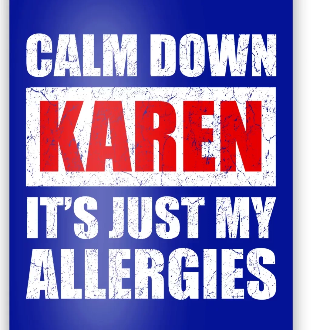 Calm Down Karen It's Just My Allergies Sarcasm Funny Meme Meaningful Gift Poster