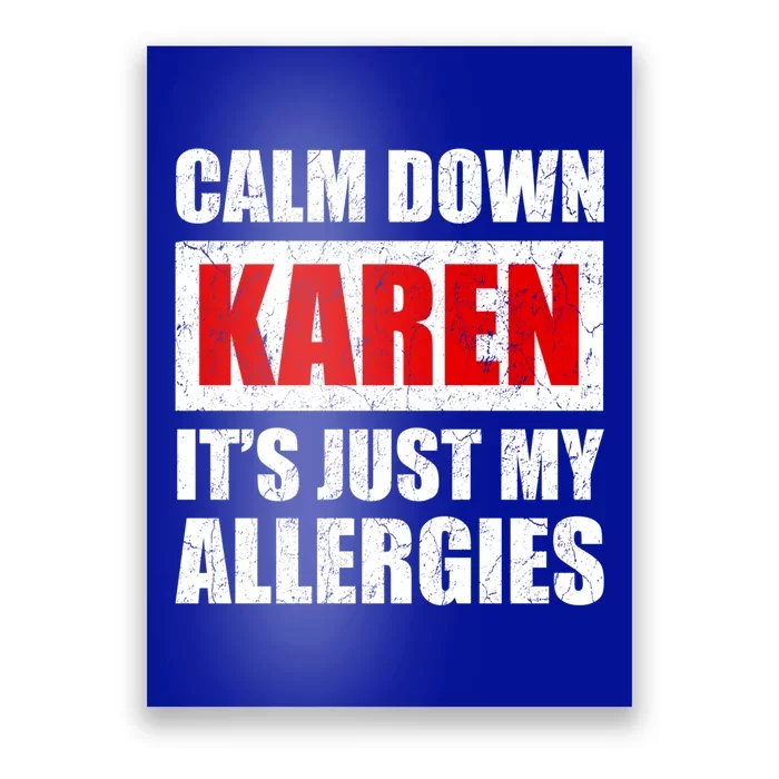 Calm Down Karen It's Just My Allergies Sarcasm Funny Meme Meaningful Gift Poster