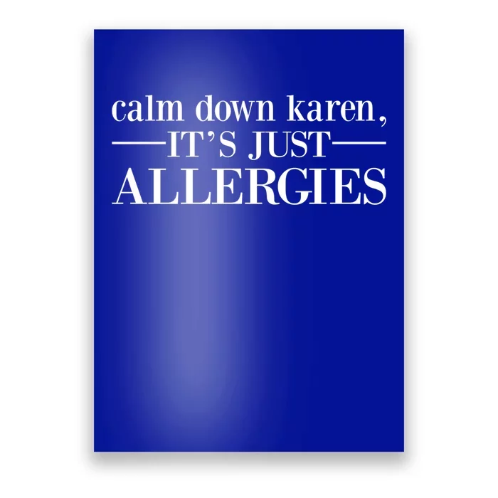 Calm Down Karen It's Just Allergies Cool Gift Poster