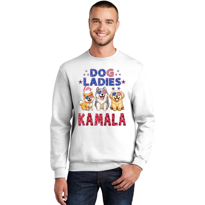 Childless Dog Ladies Voting For Kamala 2024 Raglan Sweatshirt