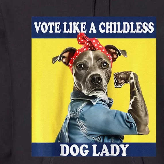 Childless Dog Lady Is Voting Kamala Election Usa 2024 Raglan Premium Hoodie