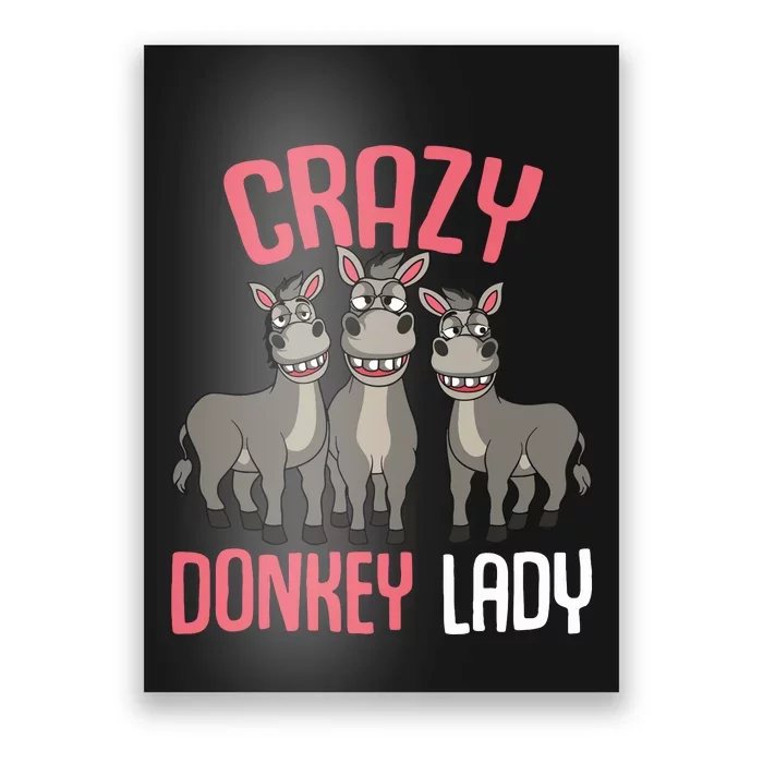 Crazy Donkey Lady Donkey Lover Poster