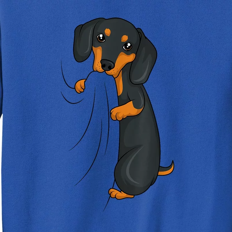 Cute Dachshund Lover Weiner Dog Girl Gift Tall Sweatshirt