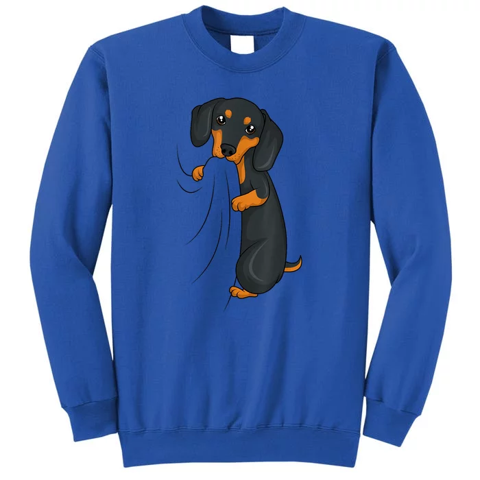 Cute Dachshund Lover Weiner Dog Girl Gift Tall Sweatshirt