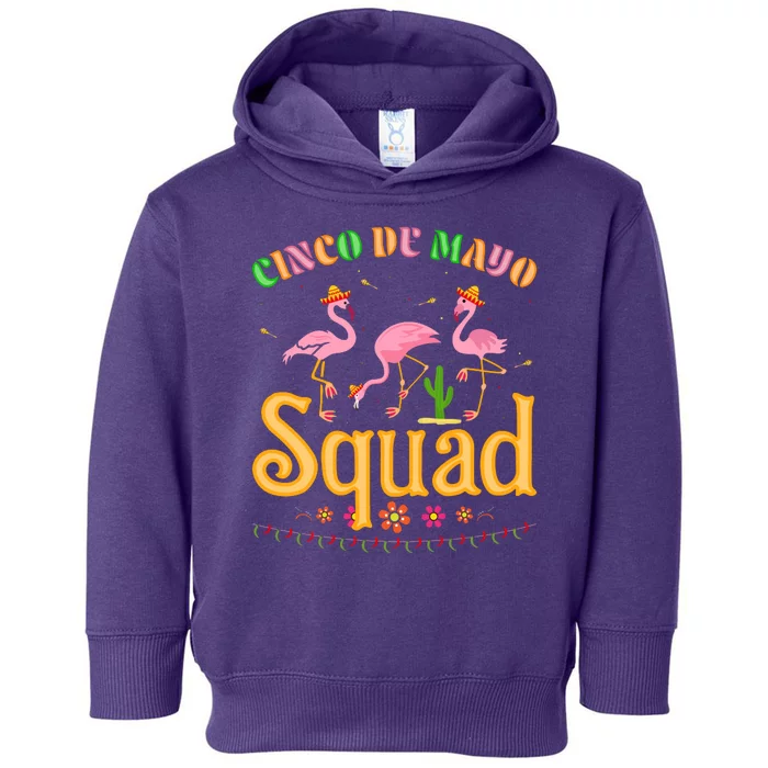 Cinco De Mayo Squad Flamingo Toddler Hoodie