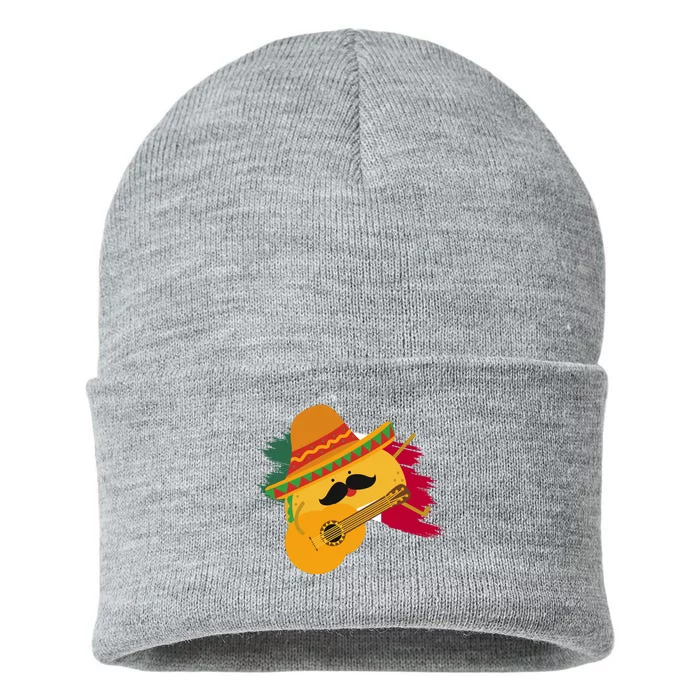 Cinco De Mayo Taco Fiesta Mexico Flag Sustainable Knit Beanie